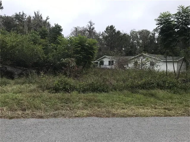 a view of a dry yard with trees