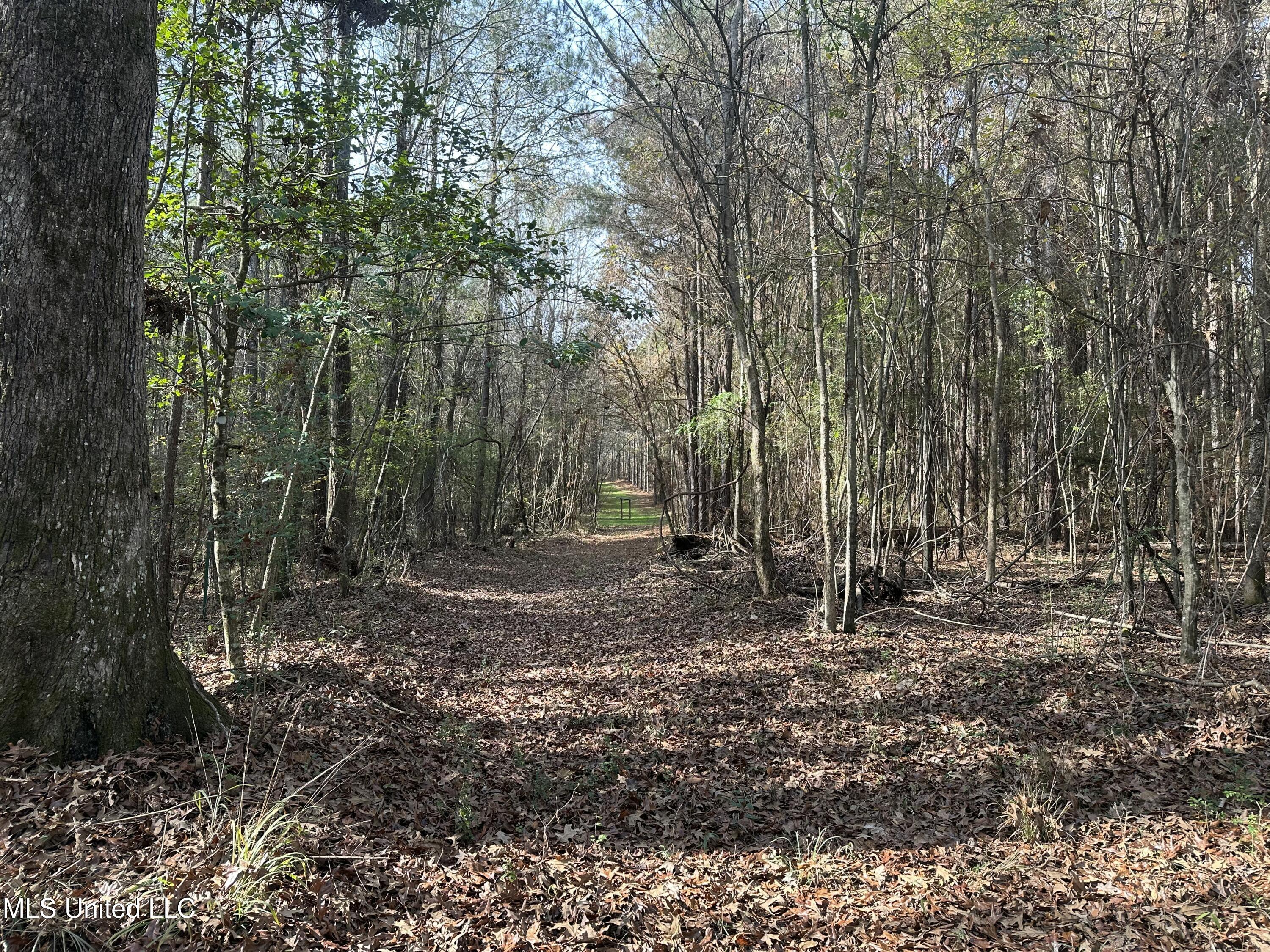 4 Whiddon Road Canton, MS 39046 - Photo 7 of 45 IMG_3863