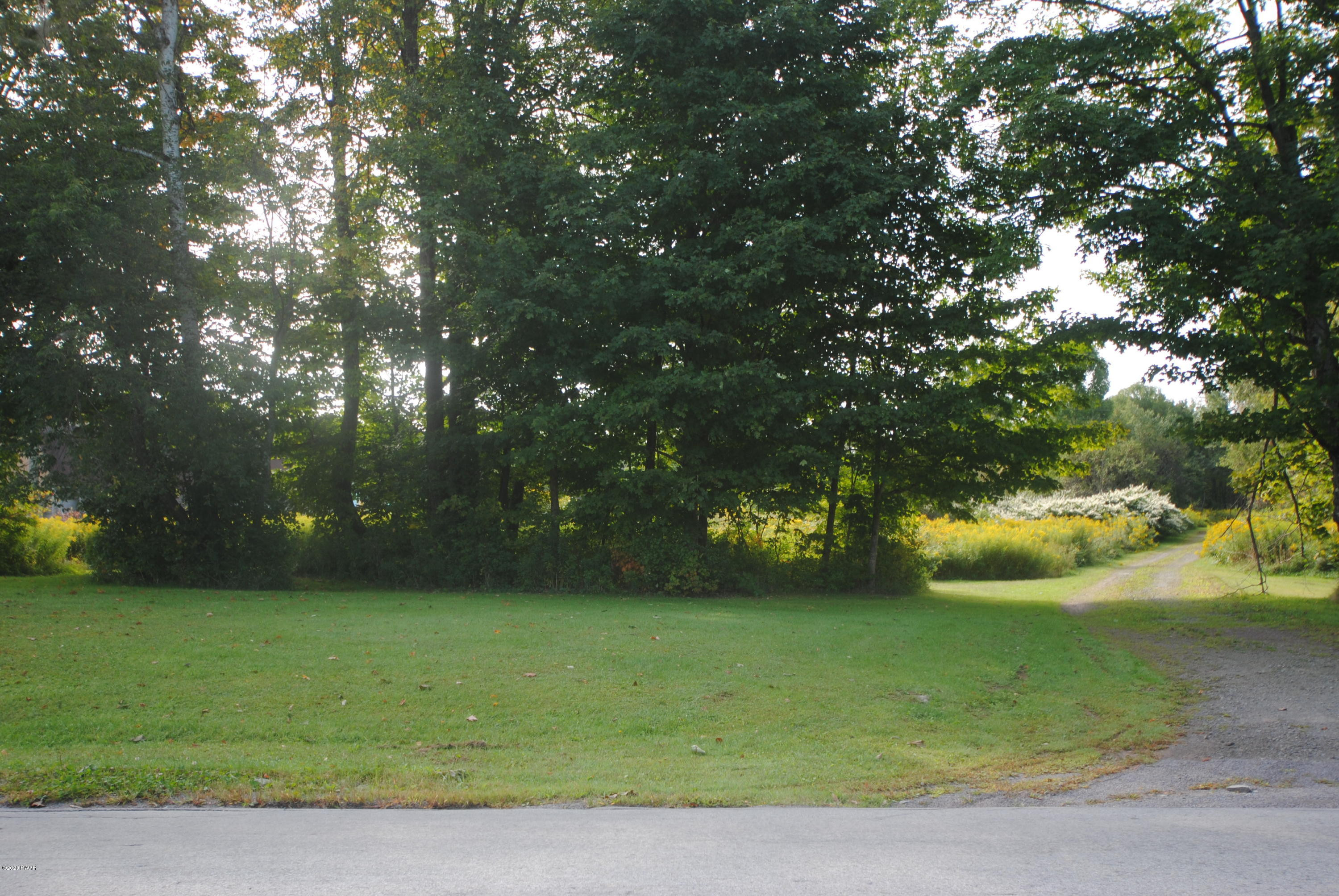3442 Wrighter Lake Road Starrucca, PA 18462 - Photo 2 of 23