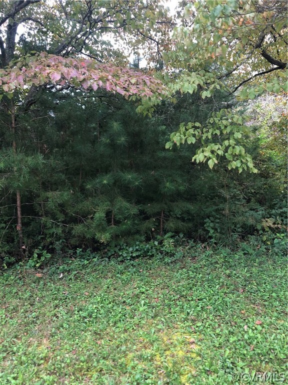 314 Lassiter Road Mineral, VA 23117 - Photo 3 of 4 Gallery Image 3