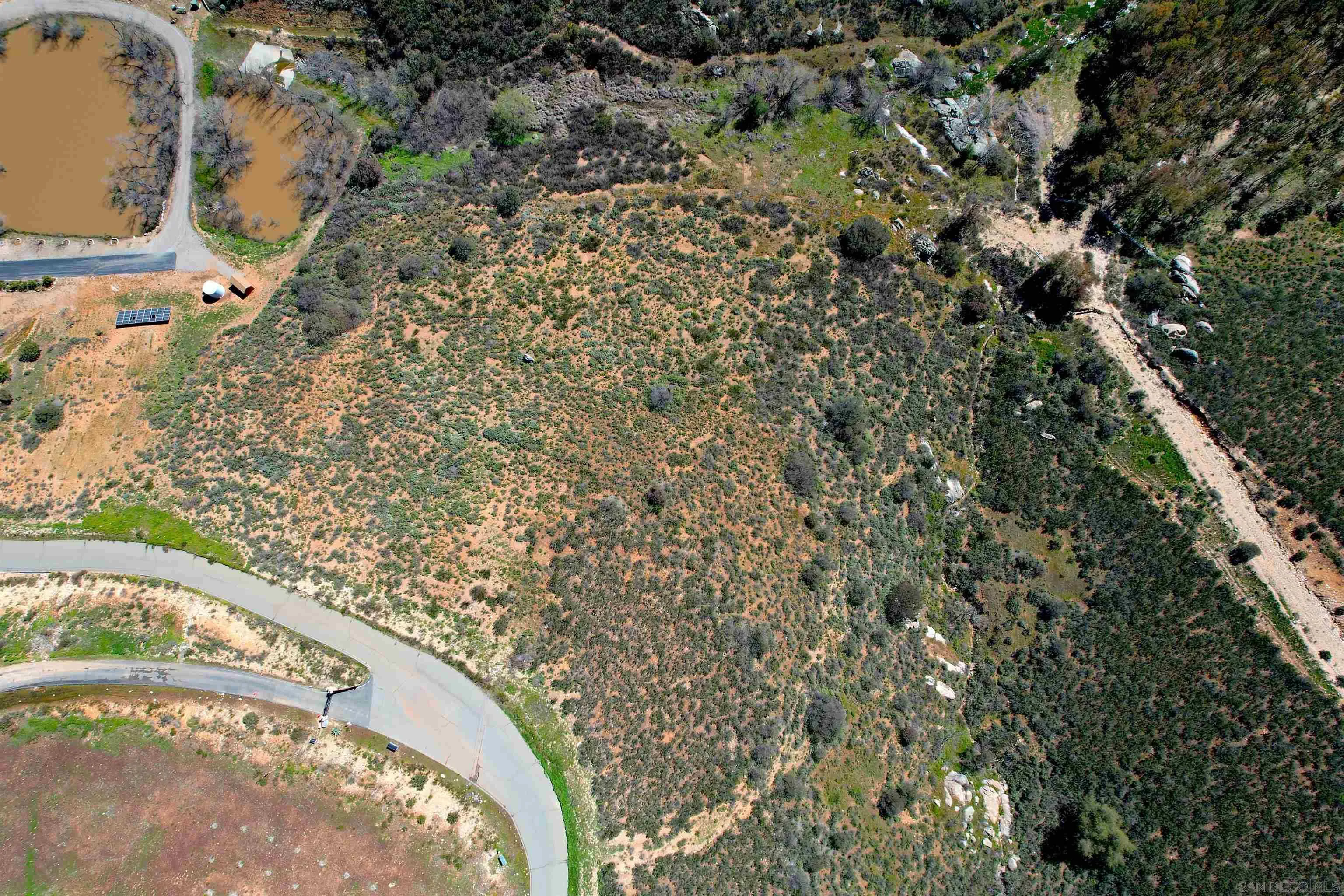0 Starlight Mountain Road Ramona, CA 92065 - Photo 12 of 12 a view of a dry yard with large trees