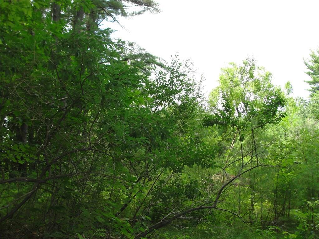 0 South Bridgton Road Bridgton, ME 04009 - Photo 5 of 11 Photo