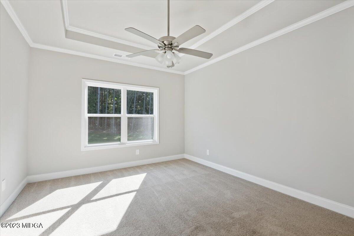 51 Strickland Loop Forsyth, GA 31029 - Photo 13 of 23 10a.