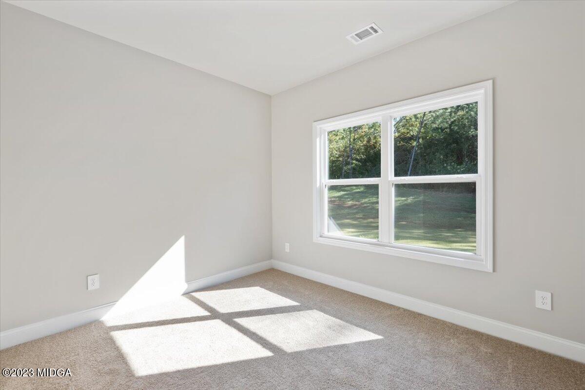 51 Strickland Loop Forsyth, GA 31029 - Photo 18 of 23 15a.
