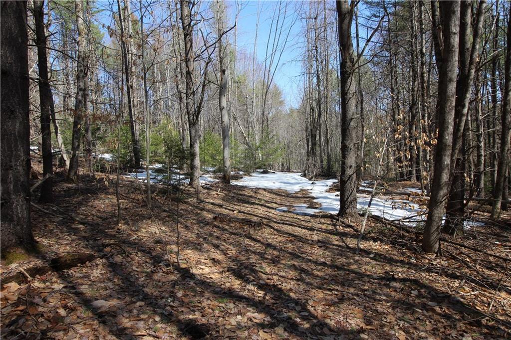 79 Maplecrest Road Parsonsfield, ME 04047 - Photo 4 of 8 Photo