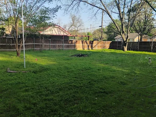 a view of a yard with a large tree
