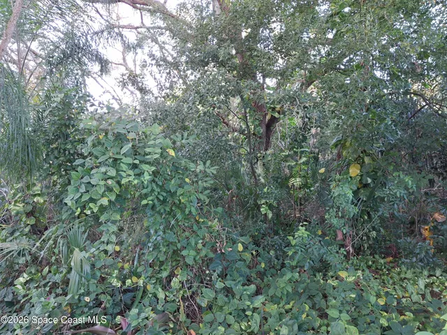 a view of an outdoor space