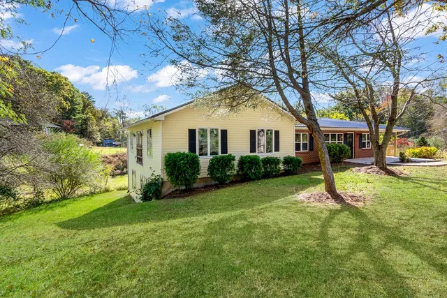 a view of a house with a yard and a large tree