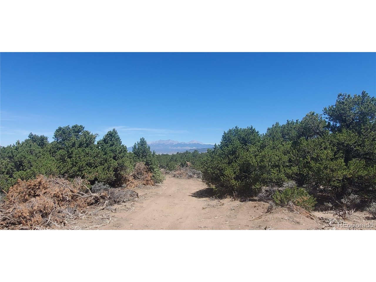 1321 Michaels Road San Luis, CO 81152 - Photo 8 of 17