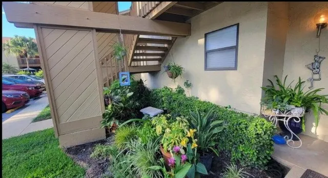 an outdoor space with plants