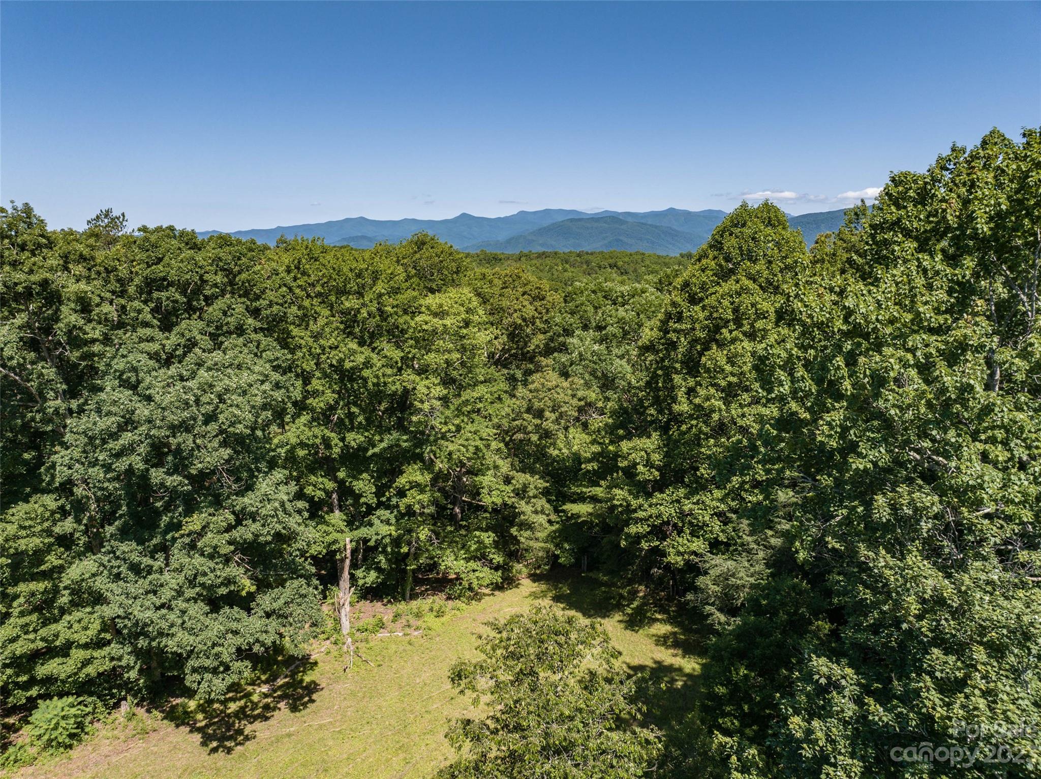 0 Zion Hill Road Marion, NC 28752 - Photo 19 of 27 Gallery Image 19