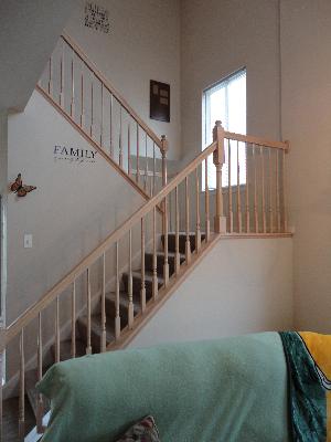 1720 Raleigh Trail Romeoville, IL 60446 - Photo 9 of 16