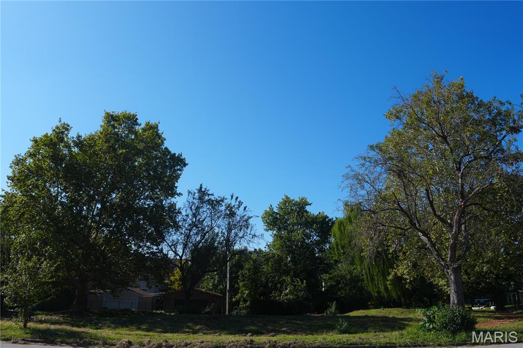 942 Hickory Street St. Louis, MO 63104 - Photo 4 of 5