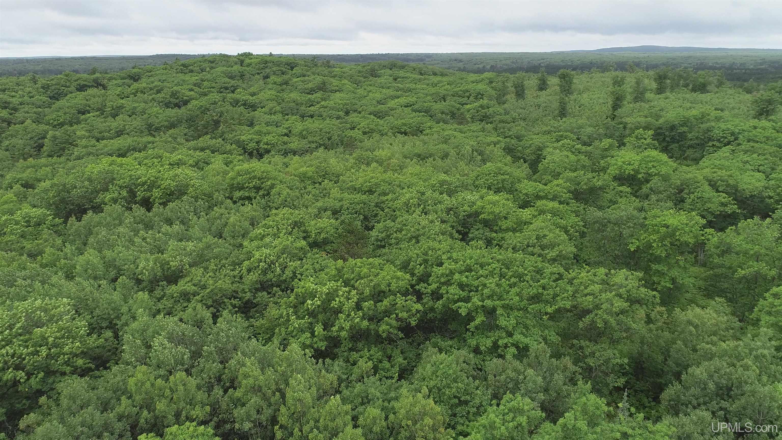 565 County Road 565 Road Gwinn, MI 49841 - Photo 32 of 35
