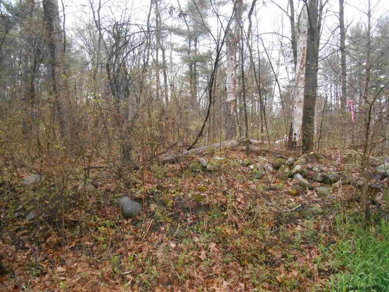 Heisler Road Rock City Falls, NY 12863 - Photo 2 of 2 Photo 2