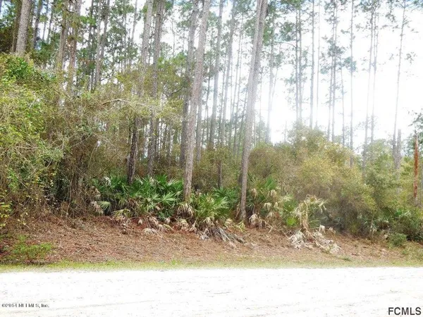 a view of outdoor space with trees
