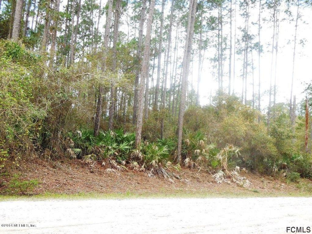 109 Seminole Trail Georgetown, FL 32139 - Photo 1 of 5 a view of outdoor space with trees