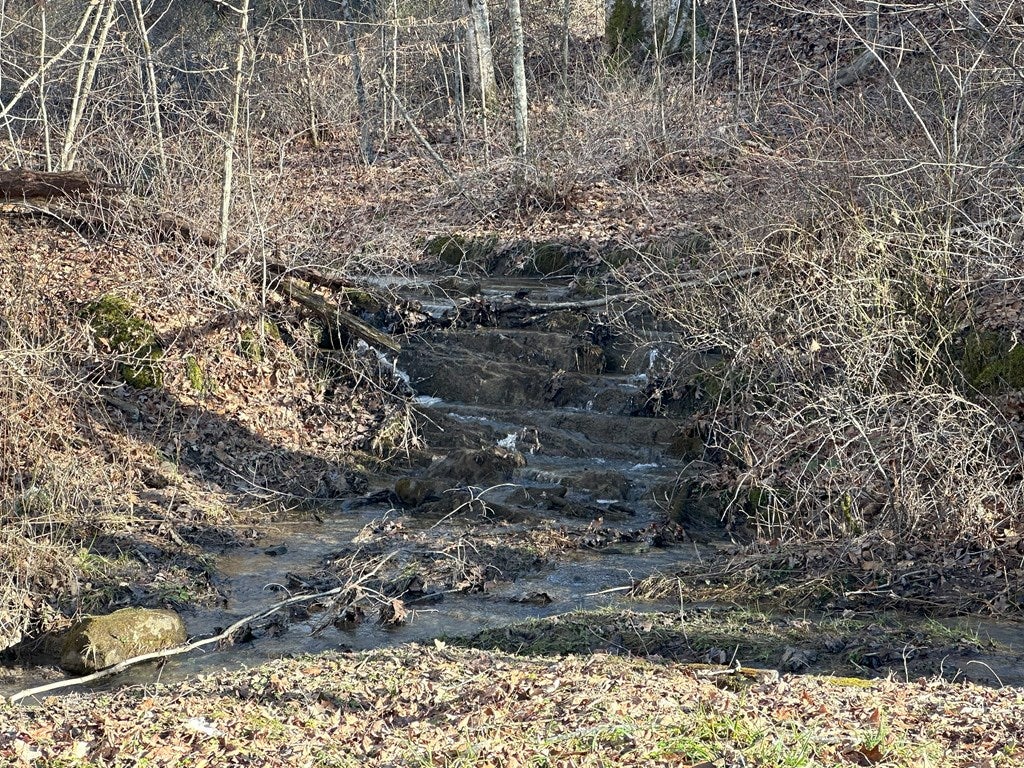 5491 Sandlick Road Bluefield, WV 24701 - Photo 14 of 50 Gallery Image 14