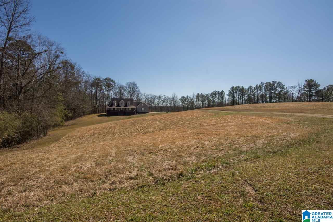1070 Highway 54 Montevallo, AL 35115 - Photo 32 of 32