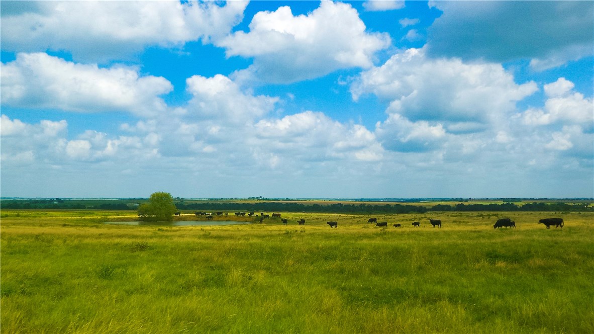 2 Fm 1466 Coupland, TX 78615 - Photo 1 of 1