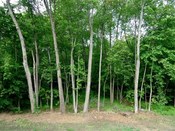38 Holt Road Andover, MA 01810 - Photo 15 of 16