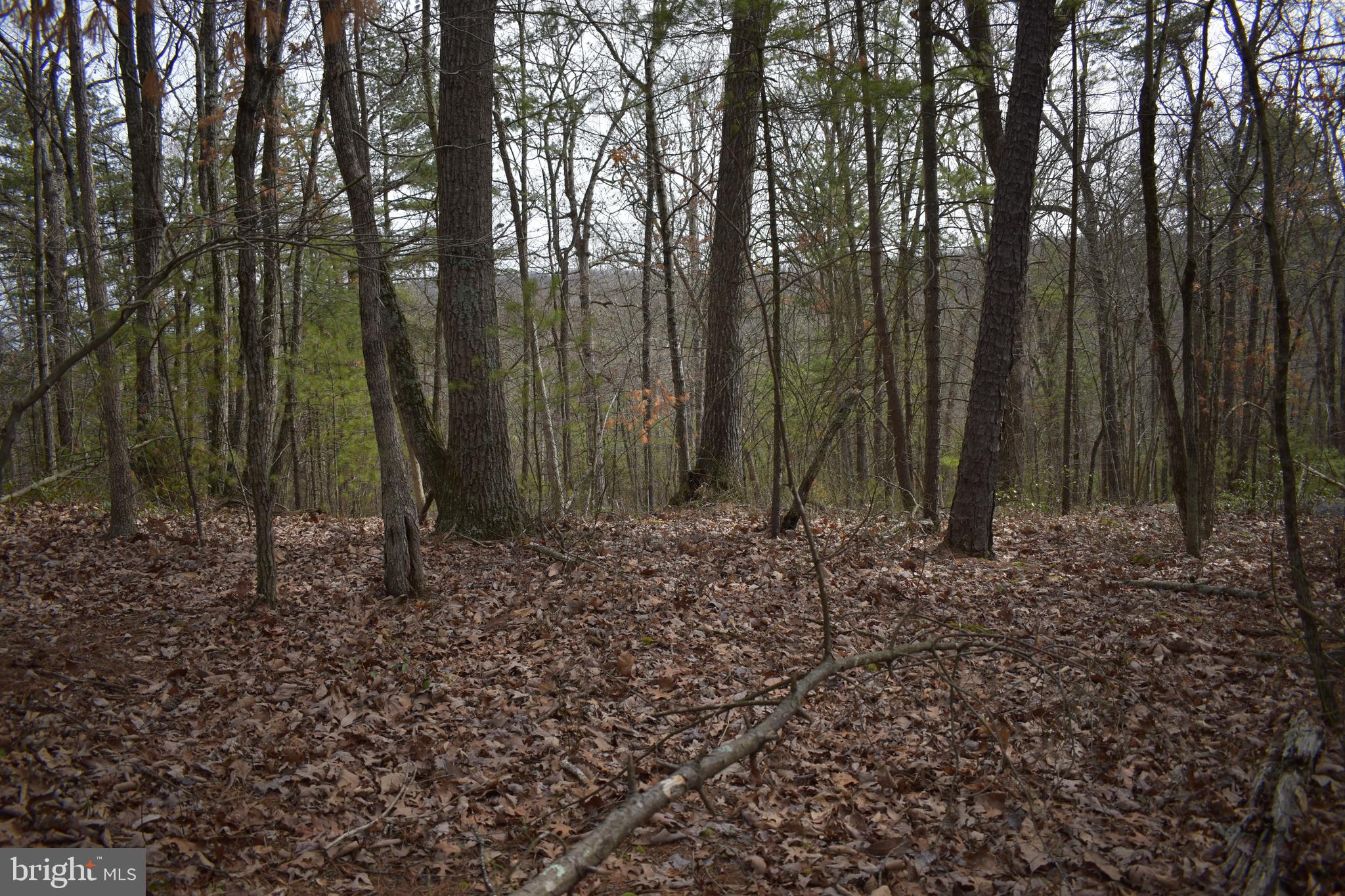 Beech Rd Mount Mount Jackson, VA 22842 - Photo 2 of 9