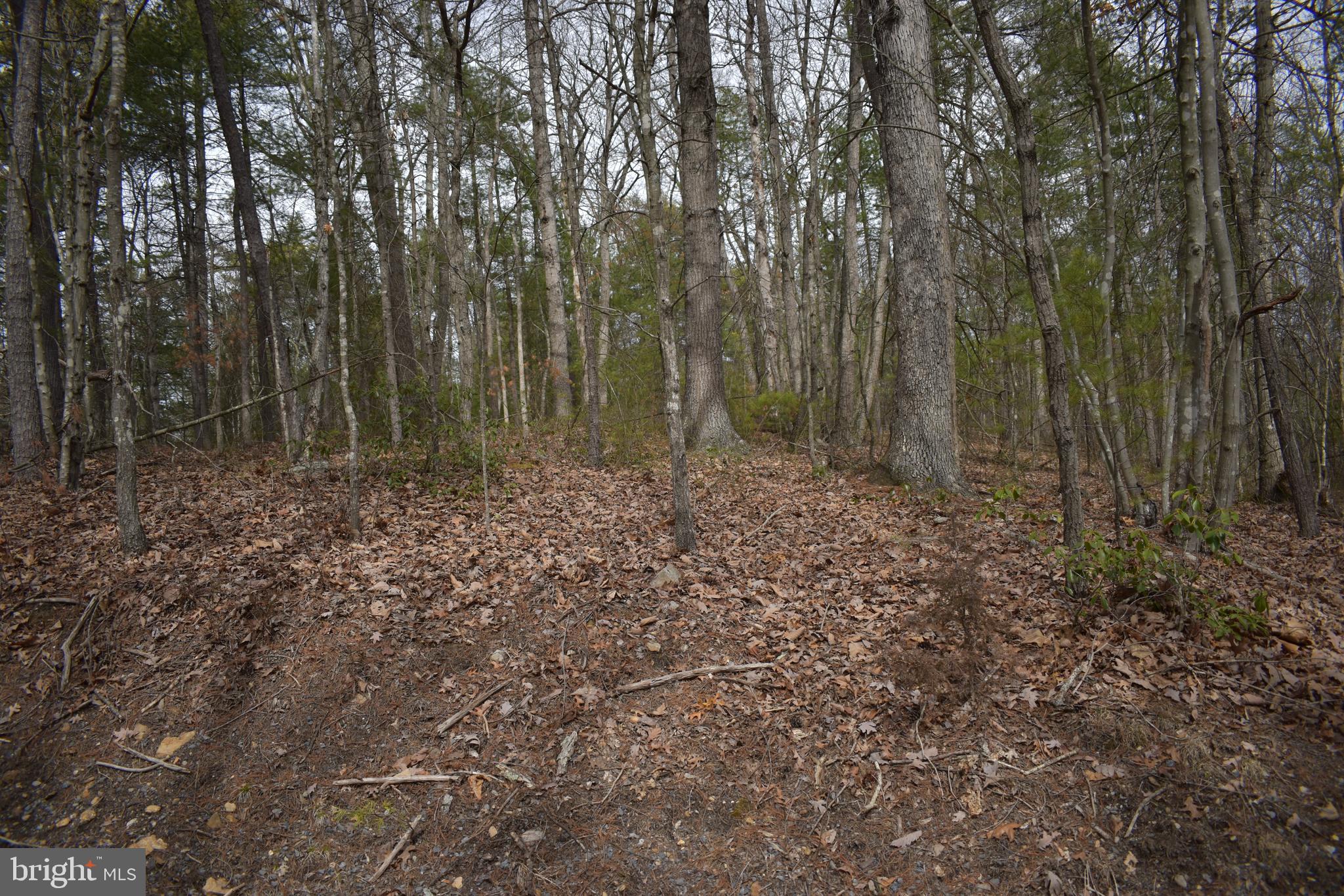 Beech Rd Mount Mount Jackson, VA 22842 - Photo 6 of 9