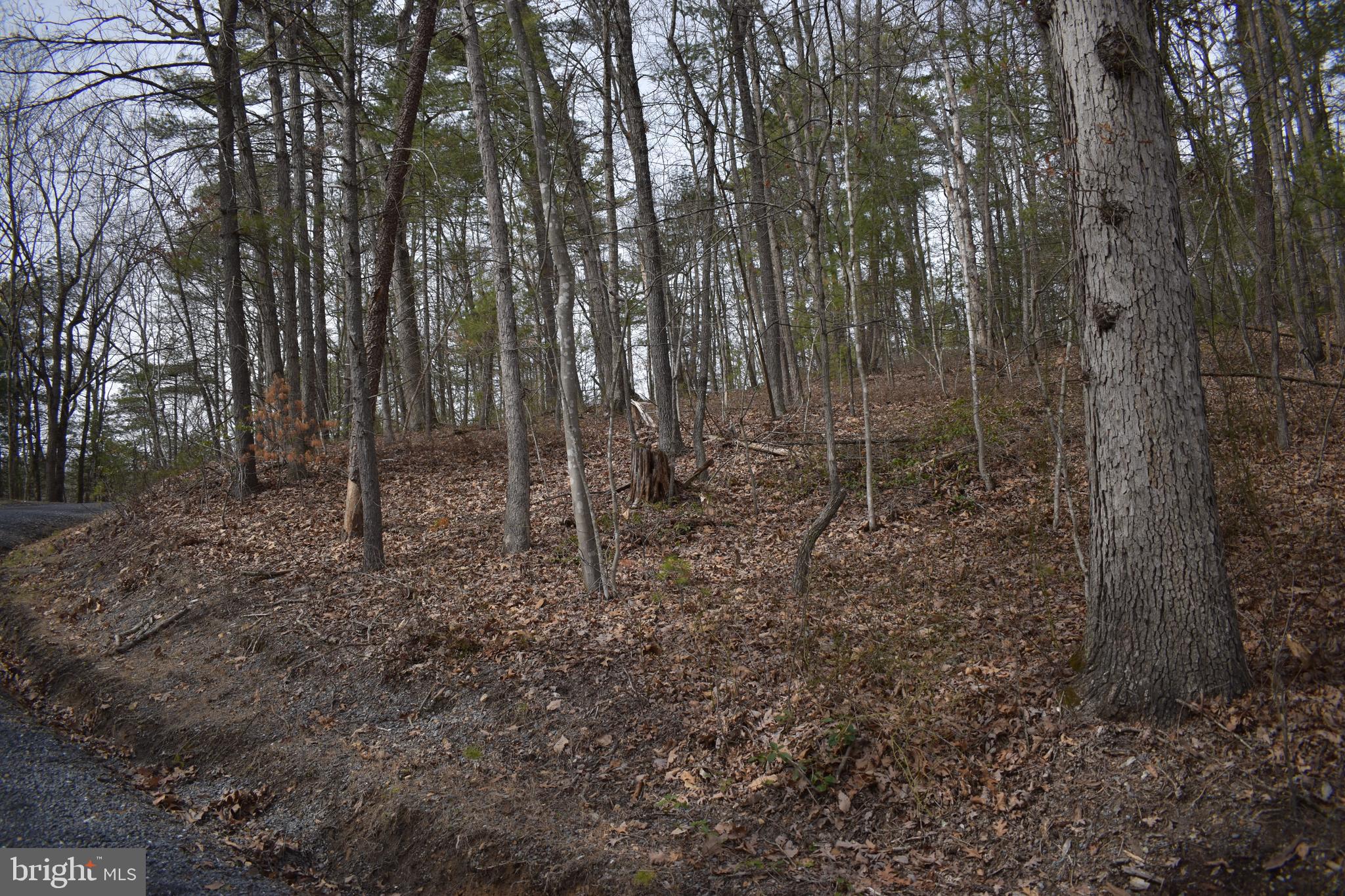 Beech Rd Mount Mount Jackson, VA 22842 - Photo 8 of 9