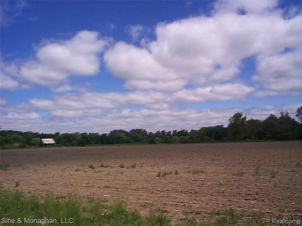 0 Belle River Road, Unit 4 Marine City, MI 48039 - Photo 4 of 4