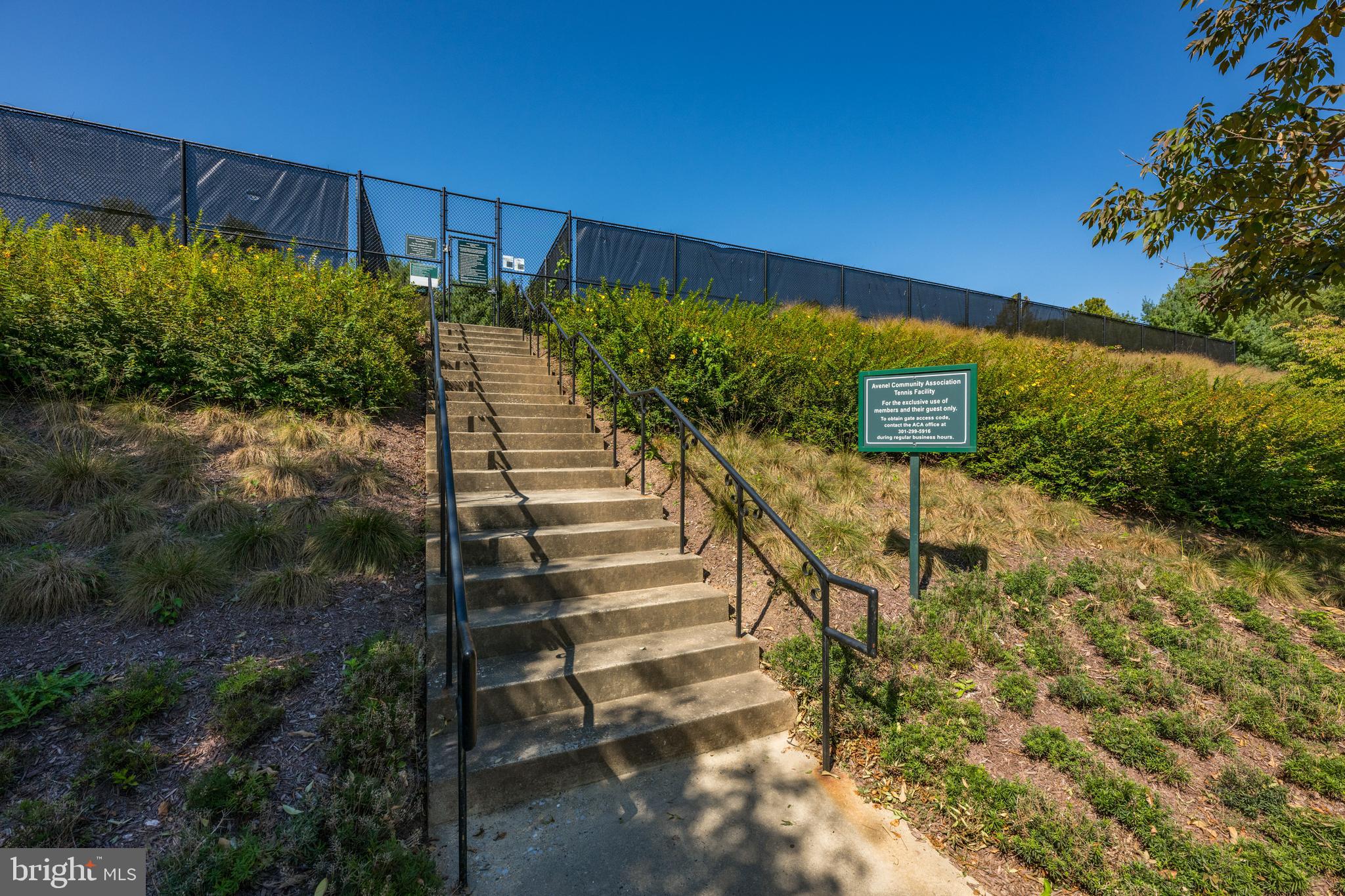 9646 Eagle Ridge Drive Bethesda, MD 20817 - Photo 58 of 75 a view of a yard with plants and a bench