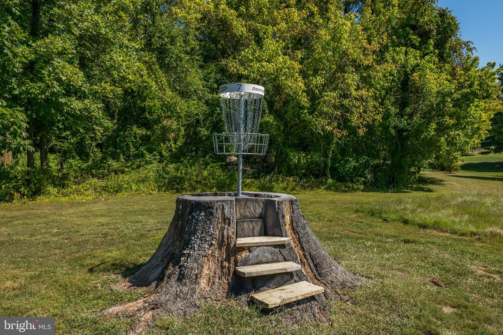 9646 Eagle Ridge Drive Bethesda, MD 20817 - Photo 69 of 75