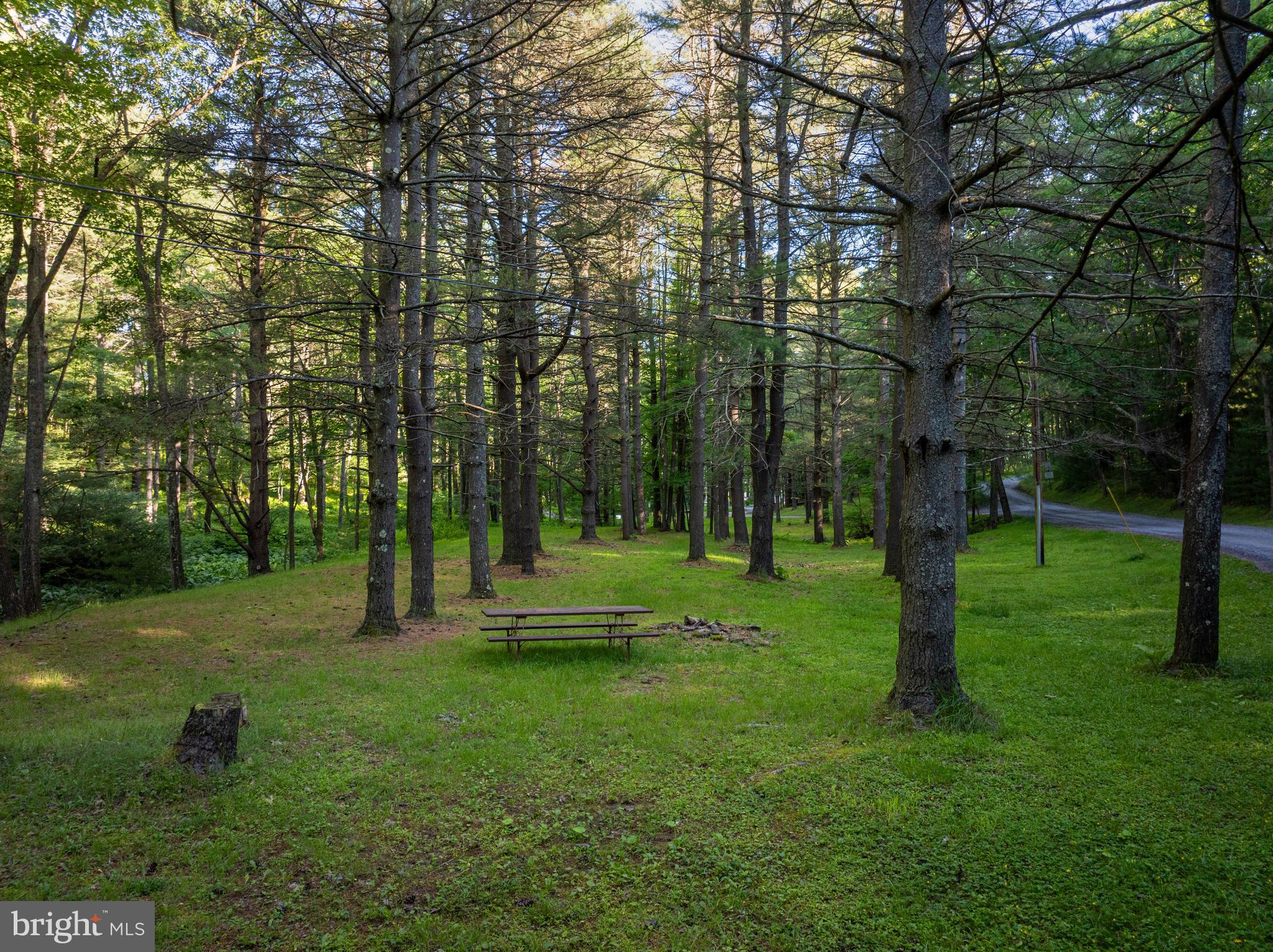 365 Ridge Road Swanton, MD 21561 - Photo 46 of 51
