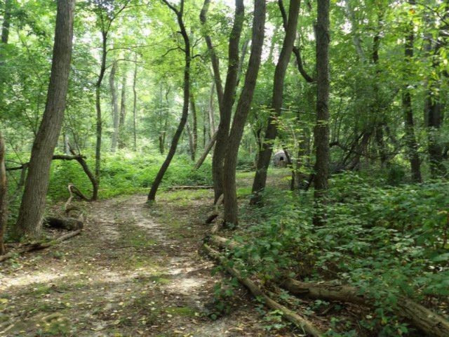 2045 Woodruff Road Hastings, MI 49058 - Photo 28 of 32 2045 Woodruff Rd hunting blind on trail