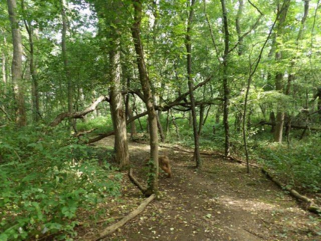 2045 Woodruff Road Hastings, MI 49058 - Photo 29 of 32 2045 Woodruff Rd more trails