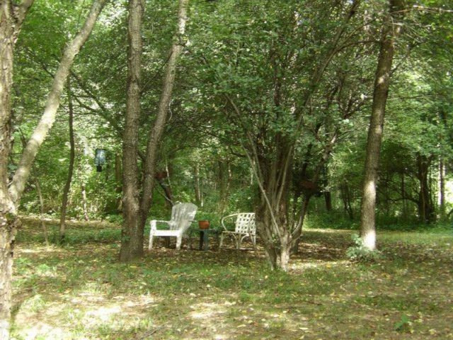 2045 Woodruff Road Hastings, MI 49058 - Photo 30 of 32 2045 Woodruff Rd resting area on trail