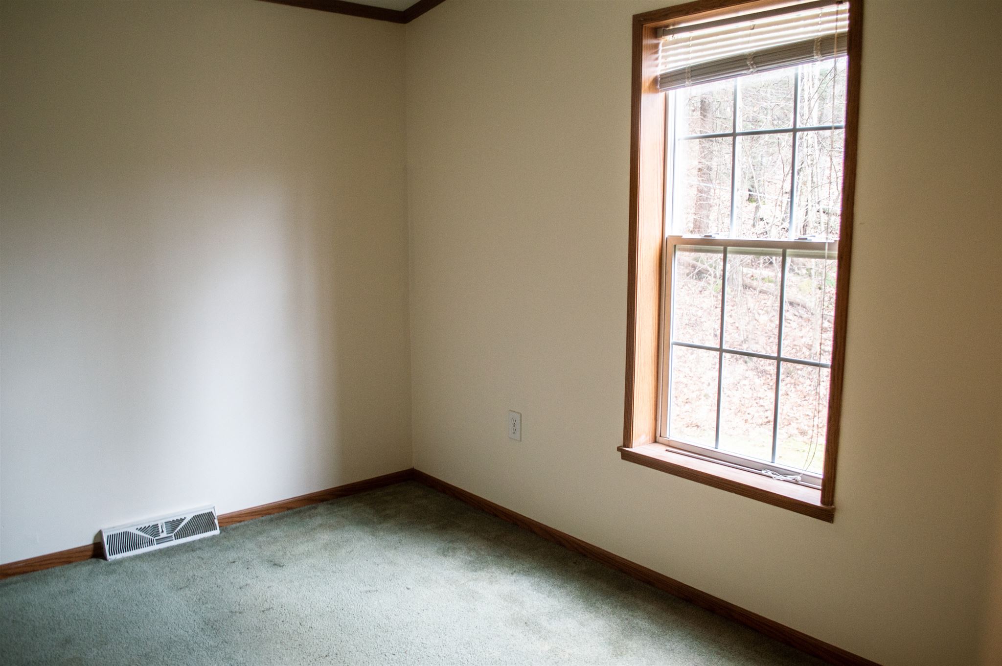 92 S Road Harrisville, NH 03450 - Photo 13 of 20