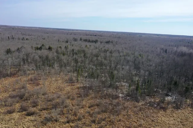 $195,000 | 73 Lawrence Twp Wi 54766, Glen Flora, WI 54526