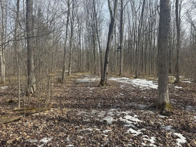 $195,000 | 73 Lawrence Twp Wi 54766, Glen Flora, WI 54526