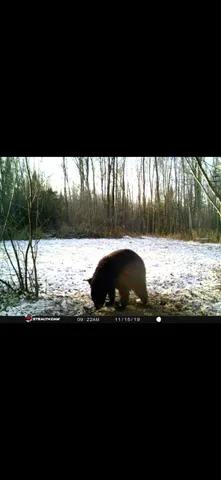 $195,000 | 73 Lawrence Twp Wi 54766, Glen Flora, WI 54526