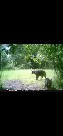 $195,000 | 73 Lawrence Twp Wi 54766, Glen Flora, WI 54526