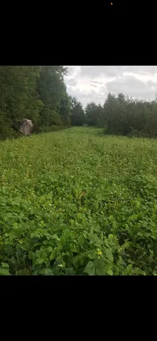 $195,000 | 73 Lawrence Twp Wi 54766, Glen Flora, WI 54526