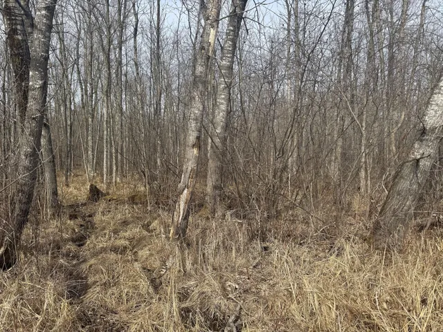 $195,000 | 73 Lawrence Twp Wi 54766, Glen Flora, WI 54526