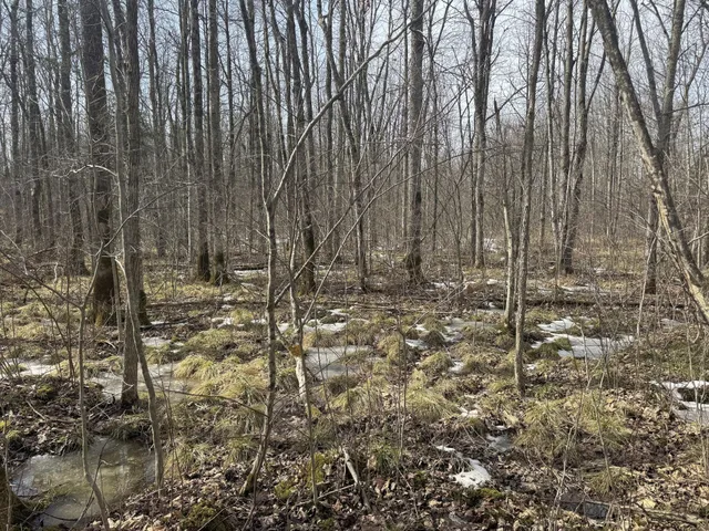 $195,000 | 73 Lawrence Twp Wi 54766, Glen Flora, WI 54526