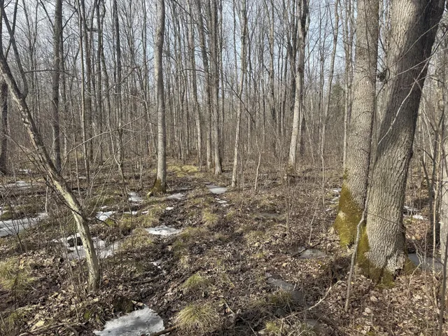 $195,000 | 73 Lawrence Twp Wi 54766, Glen Flora, WI 54526