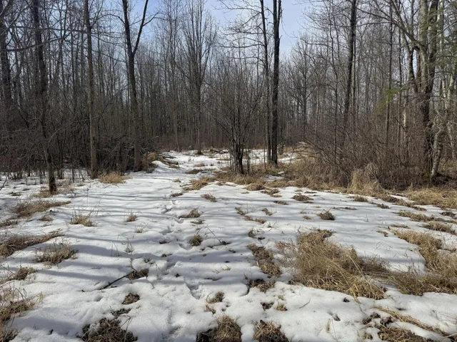 $195,000 | 73 Lawrence Twp Wi 54766, Glen Flora, WI 54526