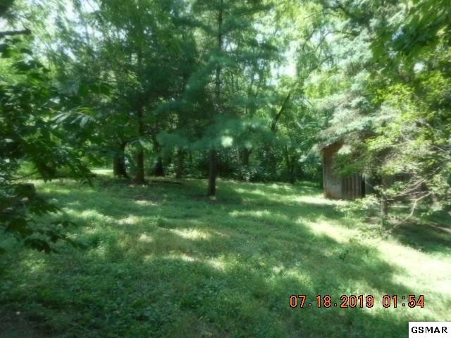 3638 Big Springs Ridge Road Friendsville, TN 37737 - Photo 9 of 31 Gallery Image 9