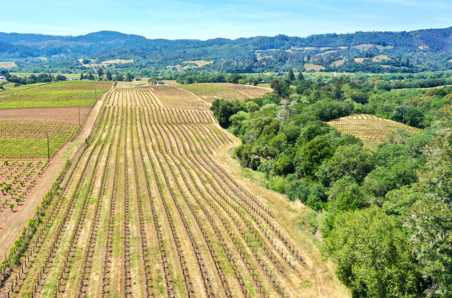 5143 Dry Creek Road Healdsburg, CA 95448 - Photo 75 of 85