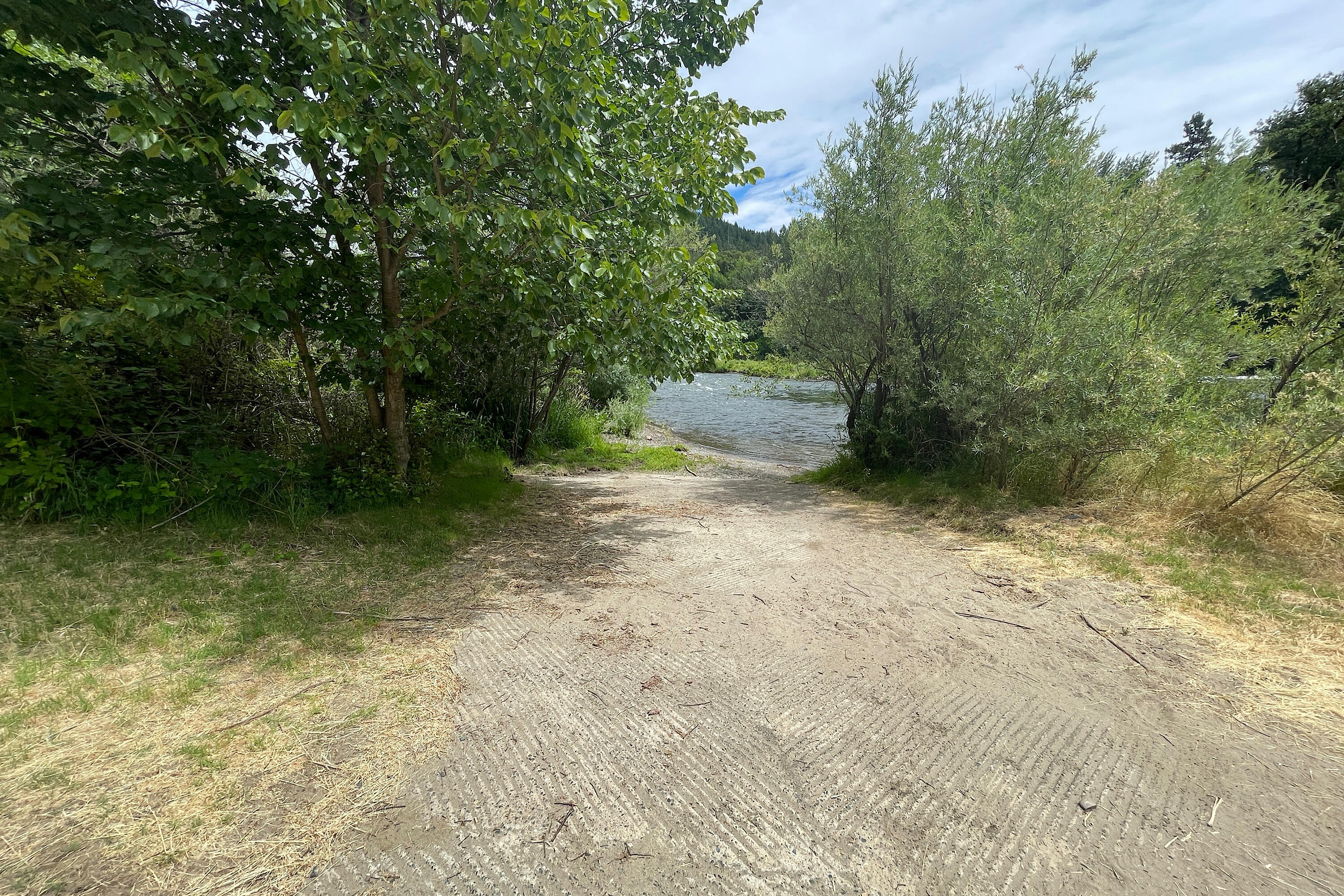 856 Greentree Loop Grants Pass, OR 97527 - Photo 59 of 62 a view of a yard with trees