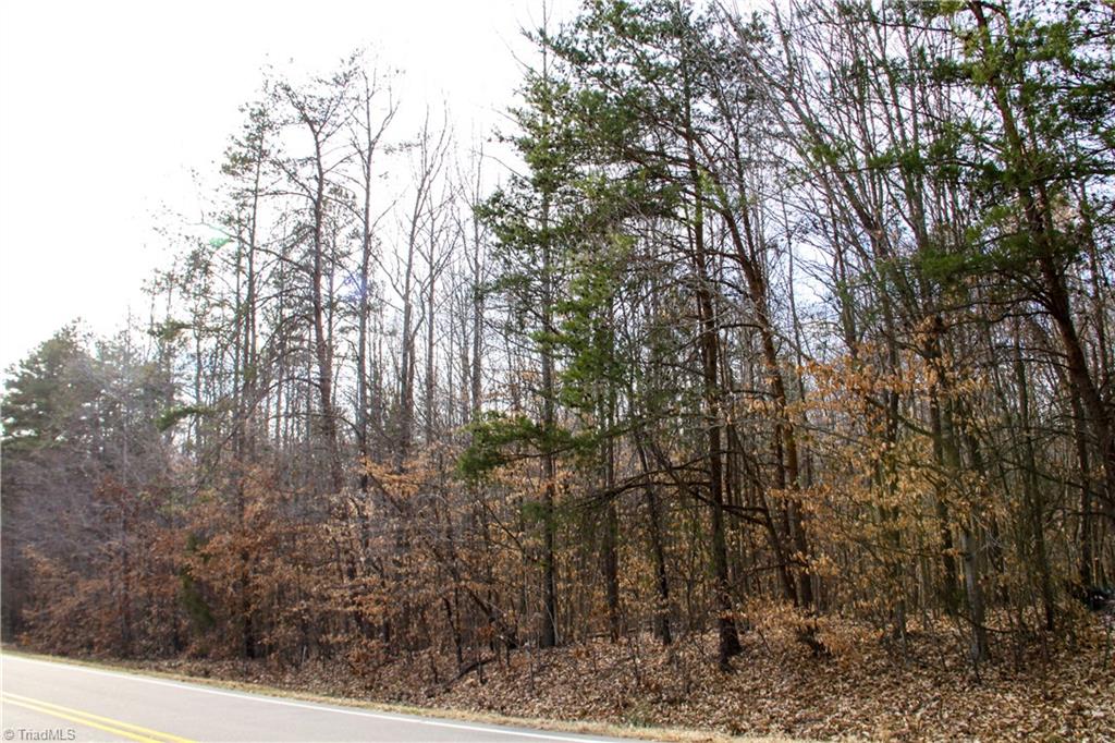 5292 Dock Davis Road Clemmons, NC 27012 - Photo 14 of 24 Gallery Image 14