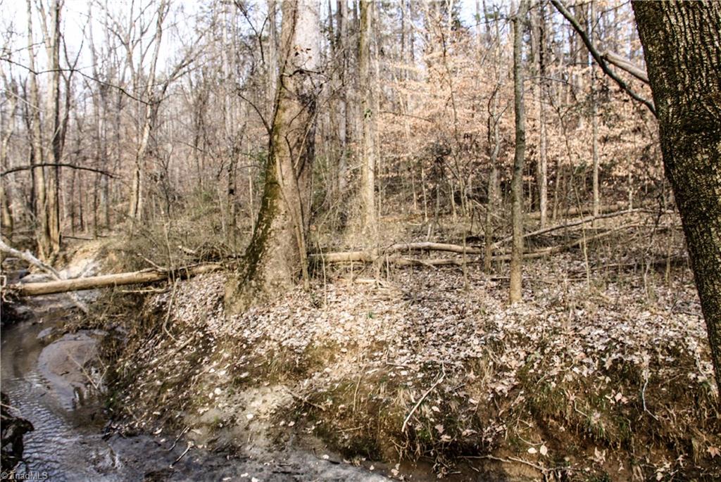 5292 Dock Davis Road Clemmons, NC 27012 - Photo 7 of 24 Gallery Image 7